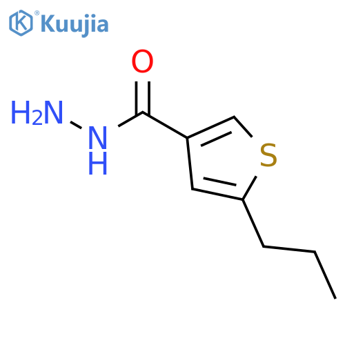 5-Propylthiophene-3-carbohydrazide structure