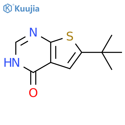 6-tert-Butyl-3H-thieno[2,3-d]pyrimidin-4-one structure