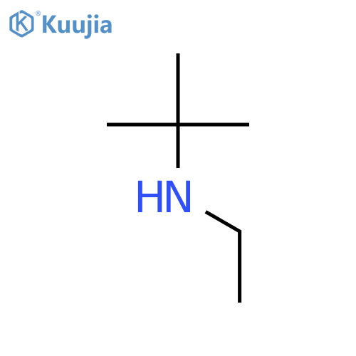 tert-butyl(ethyl)amine structure