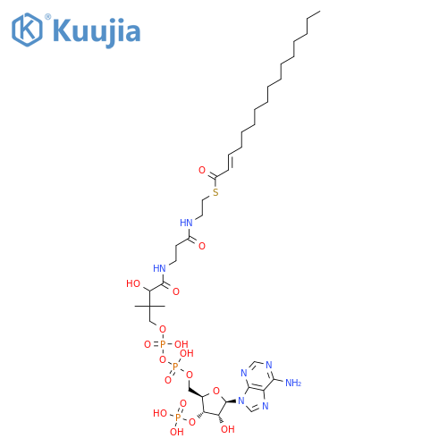 Coenzyme A, S-(2E)-2-hexadecenoate structure