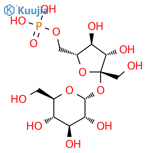 Sucrose 6'-phosphate structure