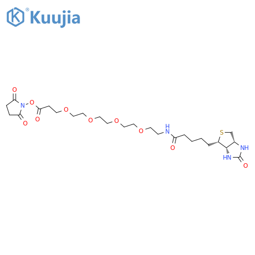 Biotin-PEG4-NHS ester structure