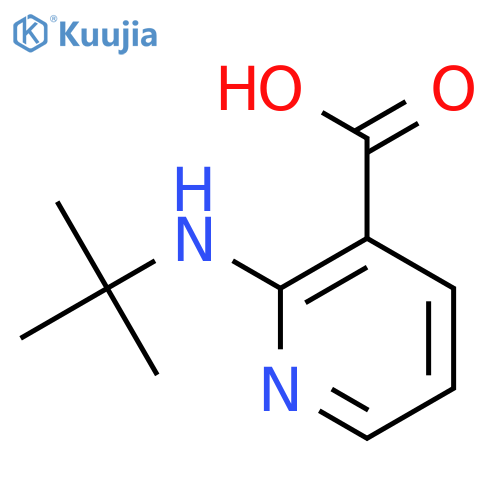2-(tert-Butylamino)nicotinic acid structure