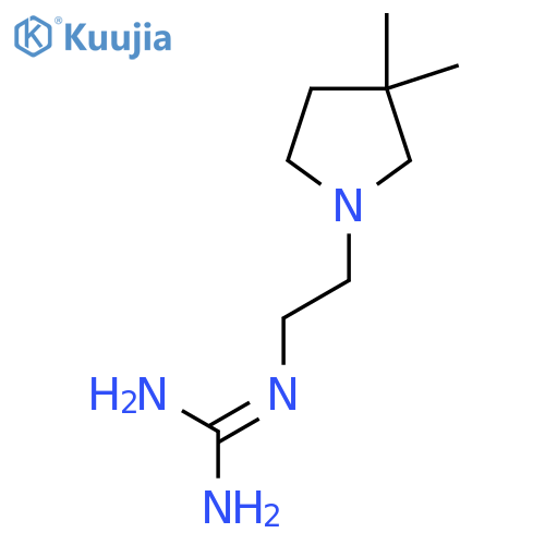 2-[2-(3,3-Dimethylpyrrolidin-1-yl)ethyl]guanidine structure