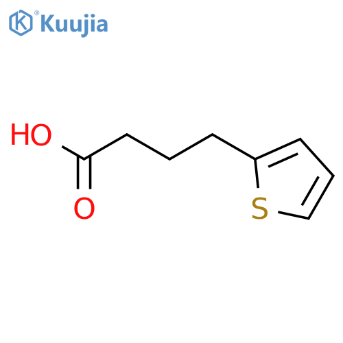 2-Thiophenebutanoic Acid structure