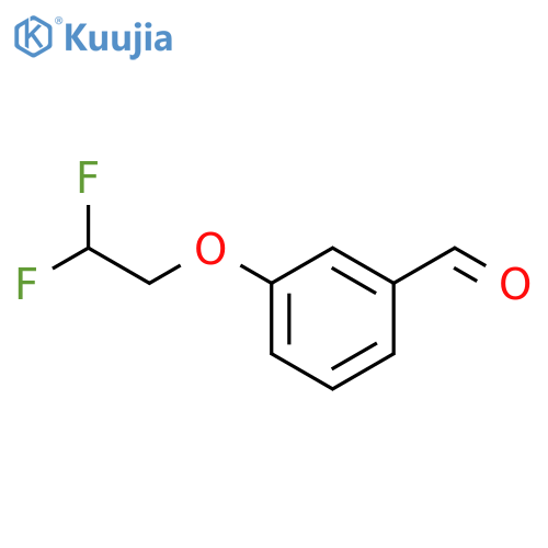 3-(2,2-difluoroethoxy)benzaldehyde structure