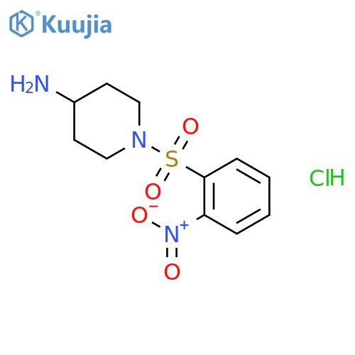 1-(2-nitrobenzenesulfonyl)piperidin-4-amine structure
