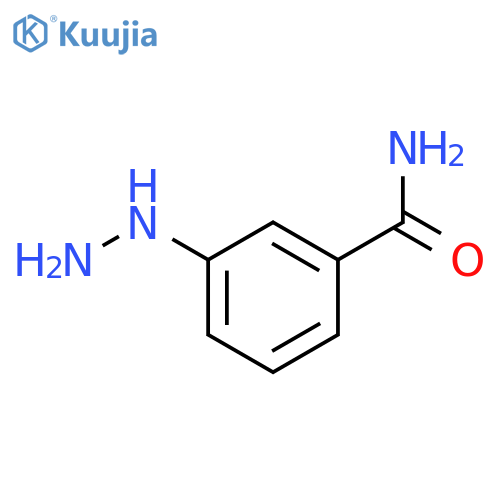 3-hydrazinylbenzamide structure