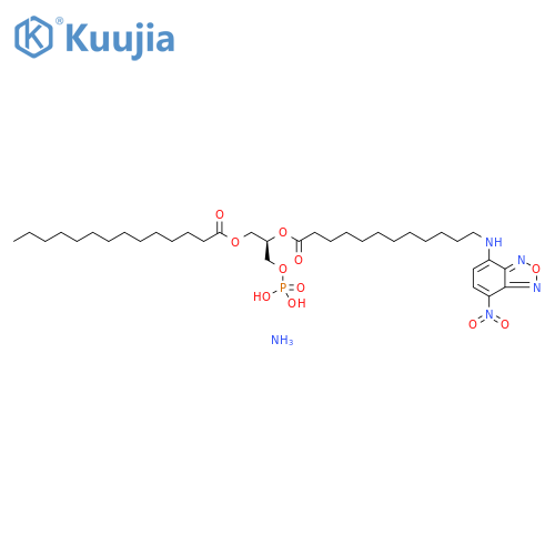 14:0-12:0 NBD PA structure