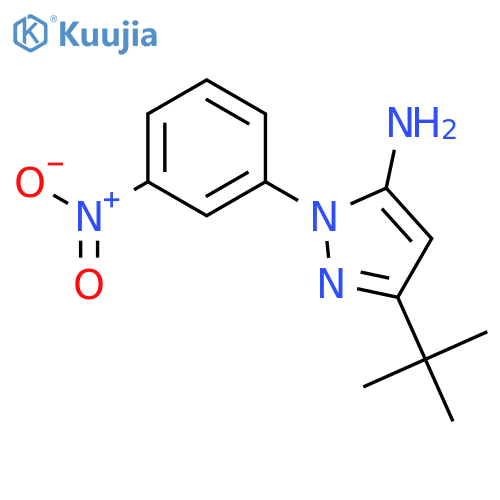 2-(3-nitrophenyl)-5-tert-butyl-2H-pyrazol-3-yl-amine structure