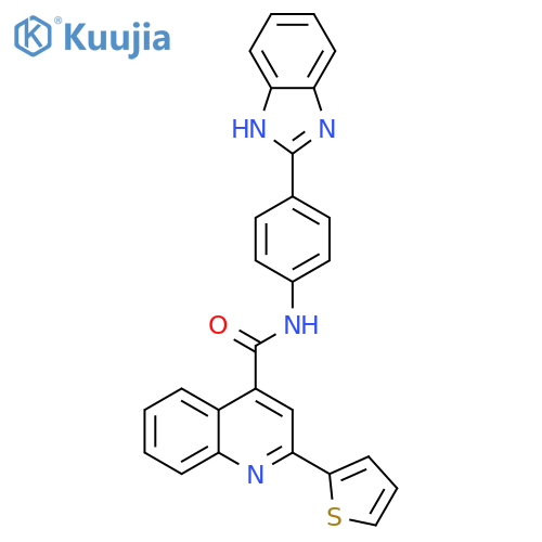 N-4-(1H-1,3-benzodiazol-2-yl)phenyl-2-(thiophen-2-yl)quinoline-4-carboxamide structure