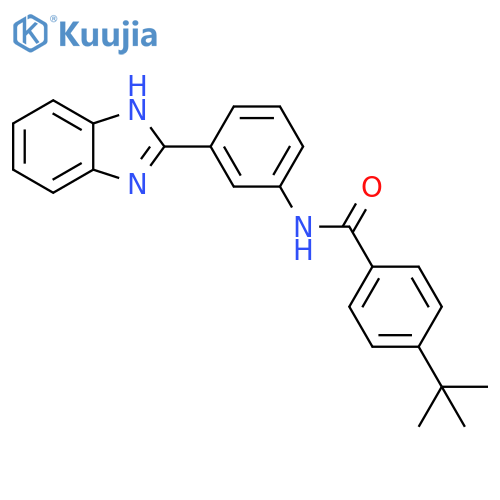 N-3-(1H-1,3-benzodiazol-2-yl)phenyl-4-tert-butylbenzamide structure