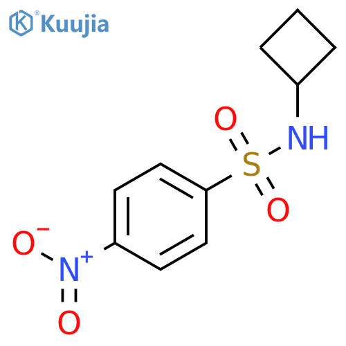 Benzenesulfonamide, N-cyclobutyl-4-nitro- structure