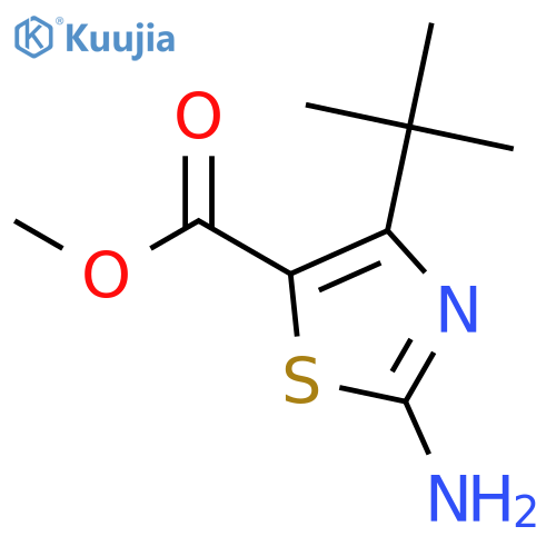 Methyl 2-amino-4-t-butylthiazole-5-carboxylate structure