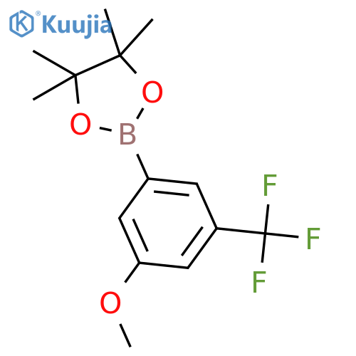 2-[3-methoxy-5-(trifluoromethyl)phenyl]-4,4,5,5-tetramethyl-1,3,2-dioxaborolane structure