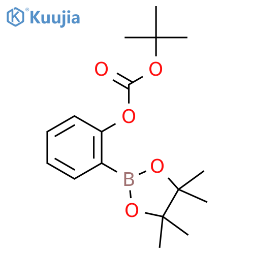 2-t-Butoxycarboxyphenylboronic acid, pinacol ester structure