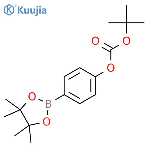 4-t-Butoxycarboxyphenylboronic acid, pinacol ester structure