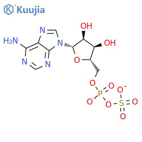 5'-Adenylic acid,anhydride with sulfuric acid (1:1) structure