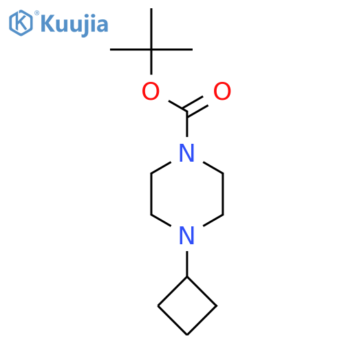 1-Piperazinecarboxylic acid, 4-cyclobutyl-, 1,1-dimethylethyl ester structure