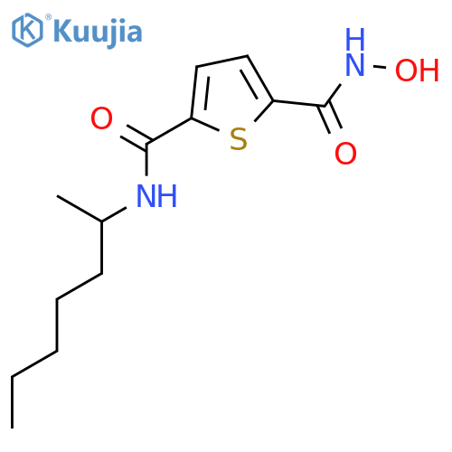 2,5-Thiophenedicarboxamide, N2-hydroxy-N5-(1-methylhexyl)- structure