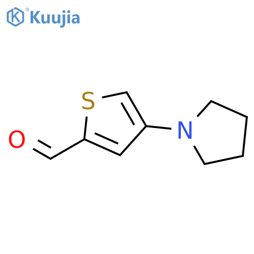 2-THIOPHENECARBOXALDEHYDE, 4-(1-PYRROLIDINYL)- structure
