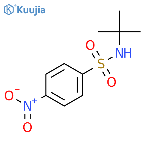 N-Tert-Butyl 4-Nitrophenylsulfonamide structure