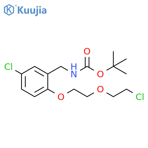 Carbamic acid, [[5-chloro-2-[2-(2-chloroethoxy)ethoxy]phenyl]methyl]-,1,1-dimethylethyl ester structure