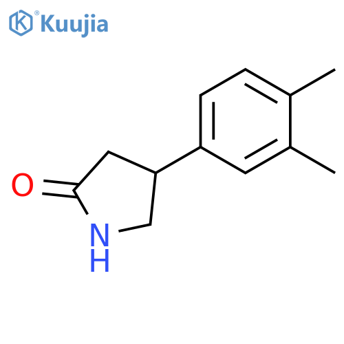 4-(3,4-dimethylphenyl)pyrrolidin-2-one structure