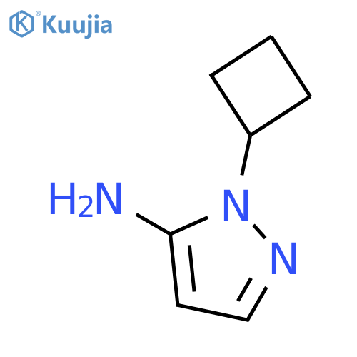 1H-Pyrazol-5-amine, 1-cyclobutyl- structure