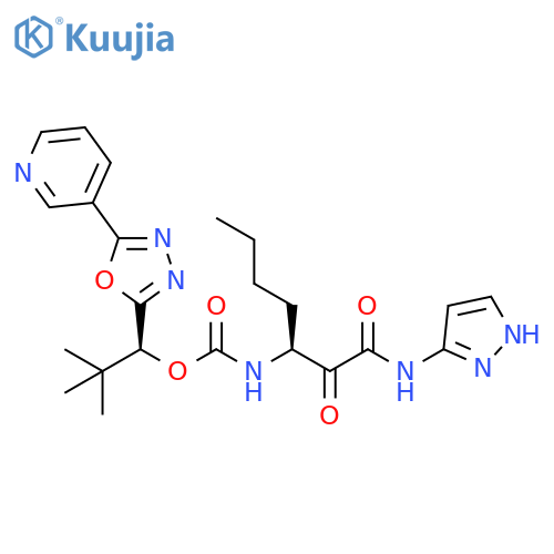 Carbamic acid, [(1S)-1-[oxo(1H-pyrazol-3-ylamino)acetyl]pentyl]-,(1S)-2,2-dimethyl-1-[5-(3-pyridinyl)-1,3,4-oxadiazol-2-yl]propyl ester structure