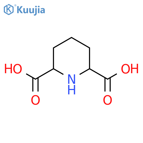 Piperidine-2,6-dicarboxylic acid structure