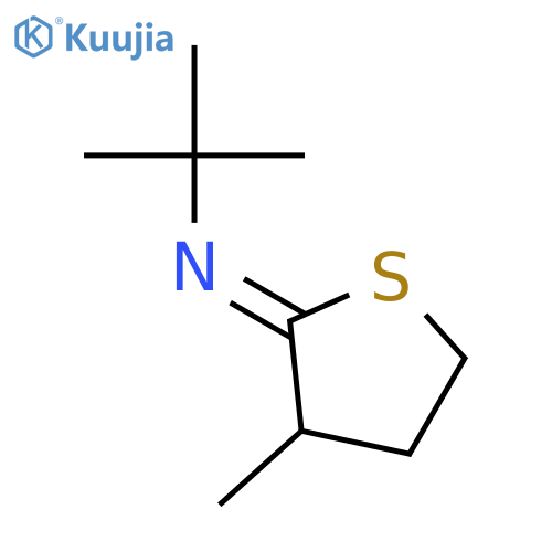 2-PROPANAMINE, N-(DIHYDRO-3-METHYL-2(3H)-THIENYLIDENE)-2-METHYL- structure