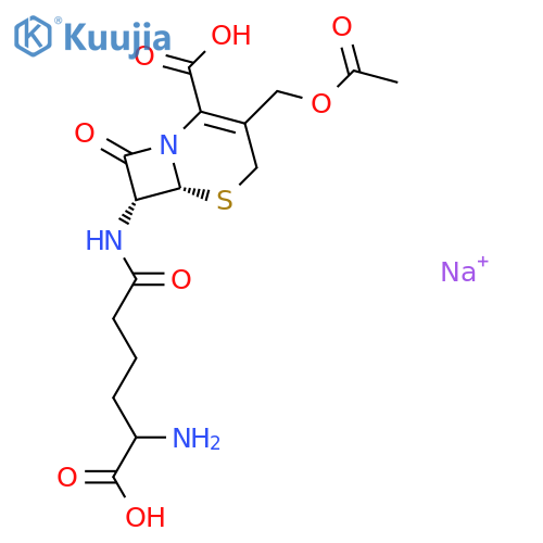 5-Thia-1-azabicyclo[4.2.0]oct-2-ene-2-carboxylicacid, 3-[(acetyloxy)methyl]-7-[(5-amino-5-carboxy-1-oxopentyl)amino]-8-oxo-,monosodium salt, [6R-(6a,7b)]- (9CI) structure