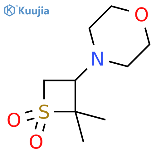 4-(2,2-dimethyl-1,1-dioxidothietan-3-yl)morpholine structure