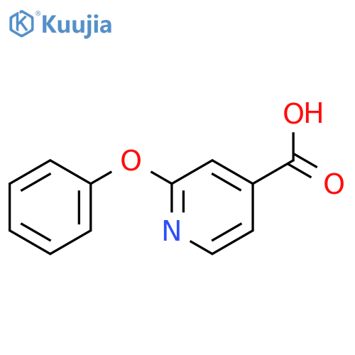 2-Phenoxyisonicotinic acid structure