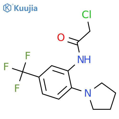 2-Chloro-N-2-(Pyrrolidin-1-Yl)-5-(Trifluoromethyl)PhenylAcetamide structure