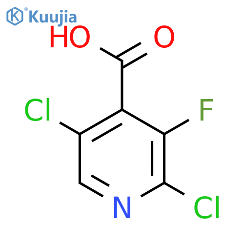 4-PYRIDINECARBOXYLIC ACID, 2,5-DICHLORO-3-FLUORO- structure