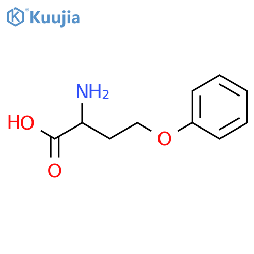 2-Amino-4-phenoxybutanoic Acid structure
