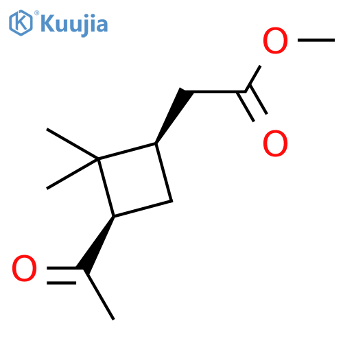 Cyclobutaneacetic acid, 3-acetyl-2,2-dimethyl-, methyl ester, (1R,3R)- structure