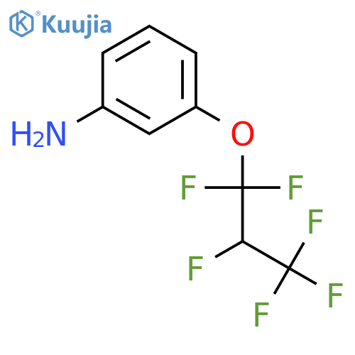 BENZENAMINE, 3-(1,1,2,3,3,3-HEXAFLUOROPROPOXY)- structure