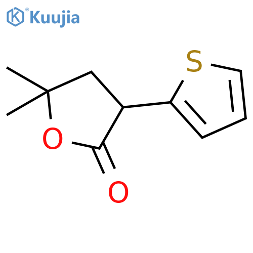 2(3H)-Furanone, dihydro-5,5-dimethyl-3-(2-thienyl)- structure
