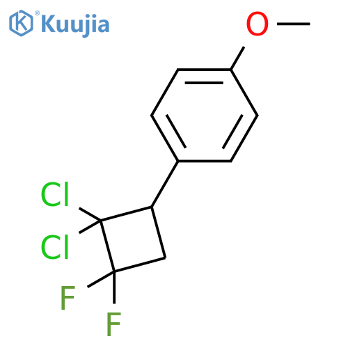 Benzene, 1-(2,2-dichloro-3,3-difluorocyclobutyl)-4-methoxy- structure