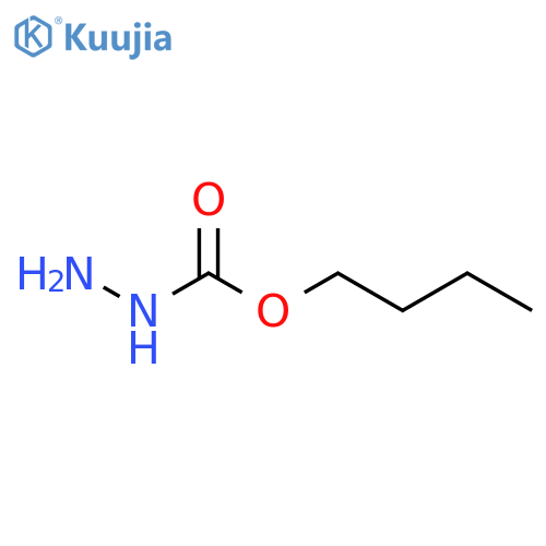 Hydrazinecarboxylic  acid,  butyl  ester structure