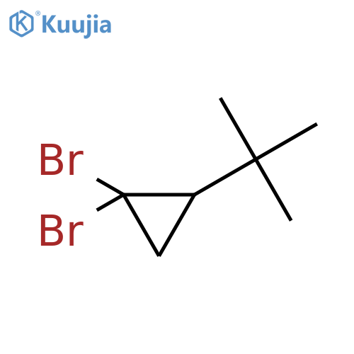 1,1-dibromo-2-tert-butylcyclopropane structure