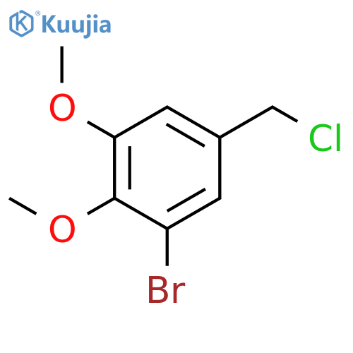 BENZENE, 1-BROMO-5-(CHLOROMETHYL)-2,3-DIMETHOXY- structure