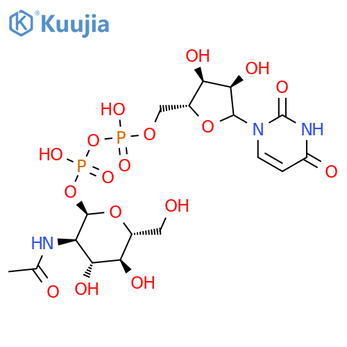 Uridine 5'-(trihydrogendiphosphate), P'-[2-(acetylamino)-2-deoxy-a-D-glucopyranosyl] ester structure