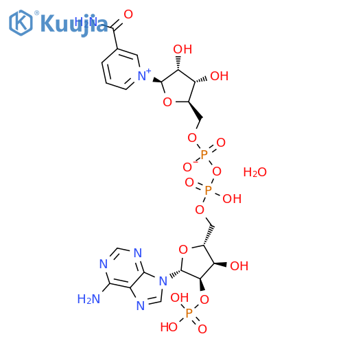 b-Nicotinamide adenine dinucleotide phosphate hydrate structure