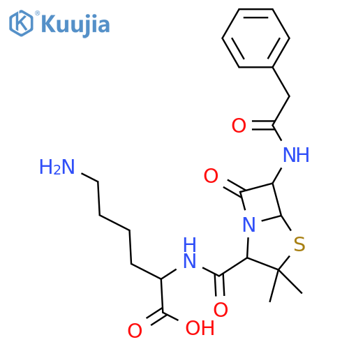 Penicilloyl polylysine structure