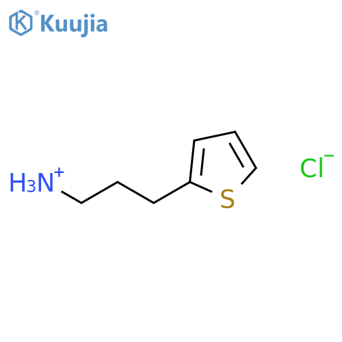 3-(thiophen-2-yl)propan-1-aminium chloride structure