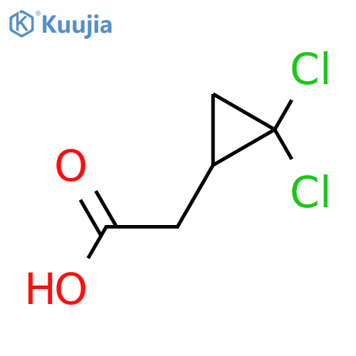 2-(2,2-dichlorocyclopropyl)acetic acid structure